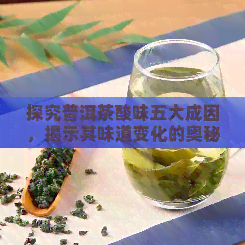 探究普洱茶酸味五大成因，揭示其味道变化的奥秘