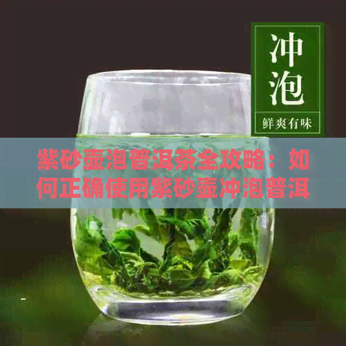 紫砂壶泡普洱茶全攻略：如何正确使用紫砂壶冲泡普洱茶，让口感更佳？