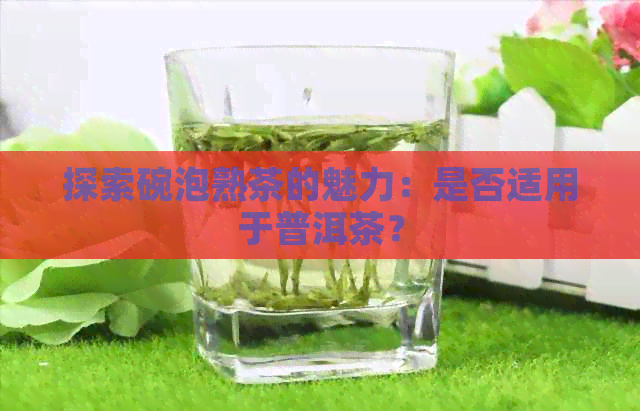 探索碗泡熟茶的魅力：是否适用于普洱茶？