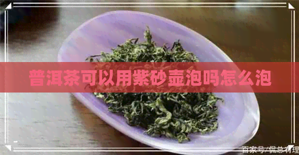 普洱茶可以用紫砂壶泡吗怎么泡