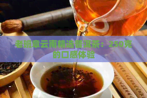 老班章云南精选普洱茶：250克的口感体验