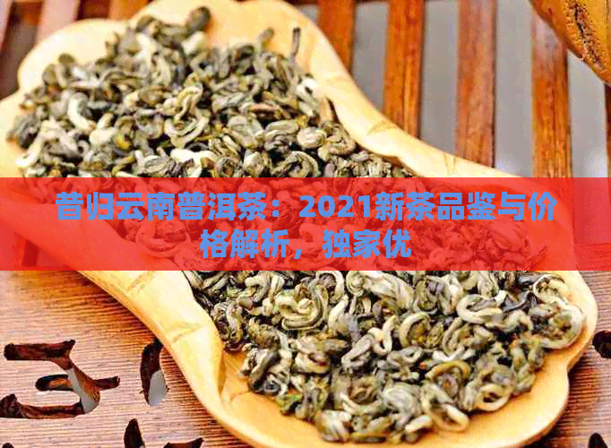 昔归云南普洱茶：2021新茶品鉴与价格解析，独家优