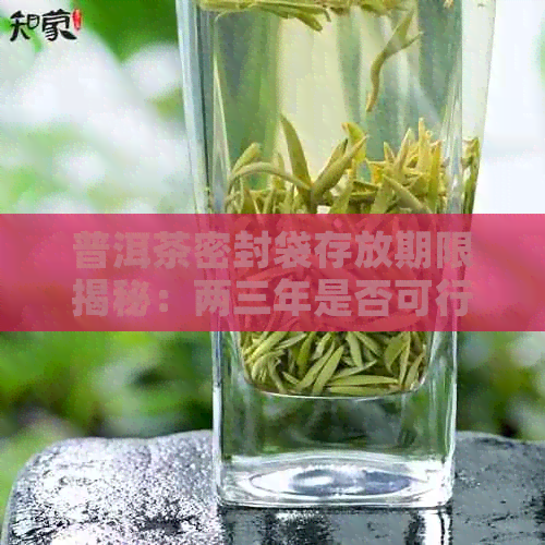 普洱茶密封袋存放期限揭秘：两三年是否可行？