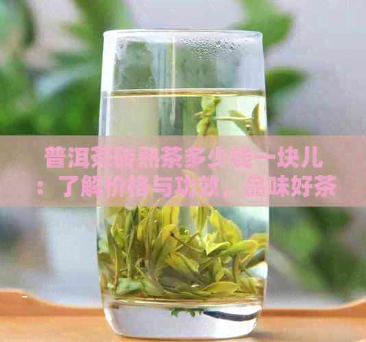 普洱茶砖熟茶多少钱一块儿：了解价格与功效，品味好茶的魅力。