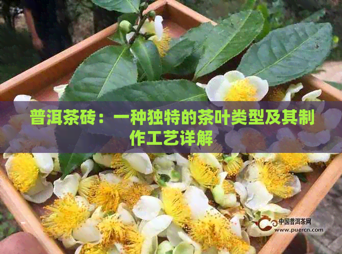 普洱茶砖：一种独特的茶叶类型及其制作工艺详解