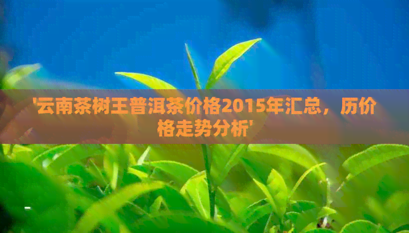 '云南茶树王普洱茶价格2015年汇总，历价格走势分析'