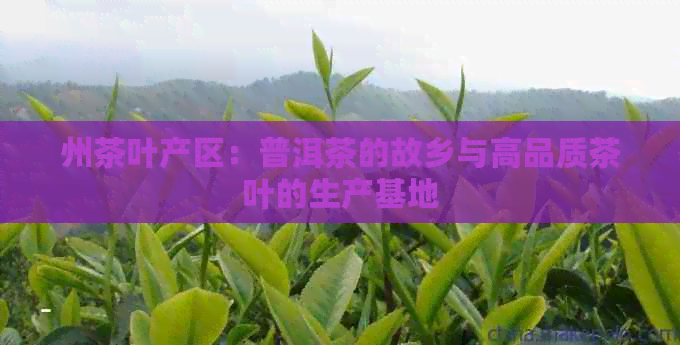 州茶叶产区：普洱茶的故乡与高品质茶叶的生产基地