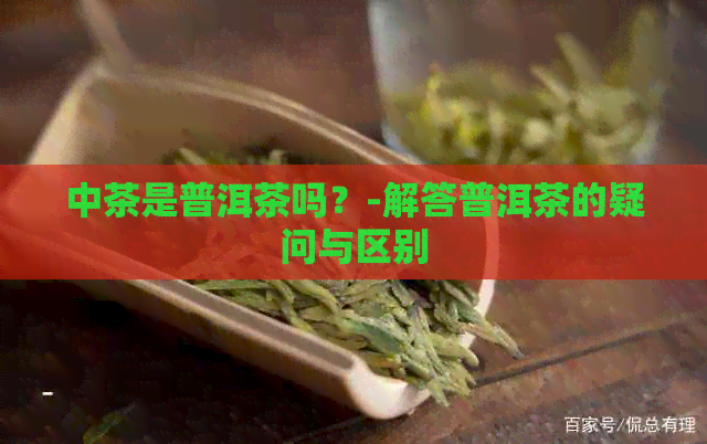 中茶是普洱茶吗？-解答普洱茶的疑问与区别