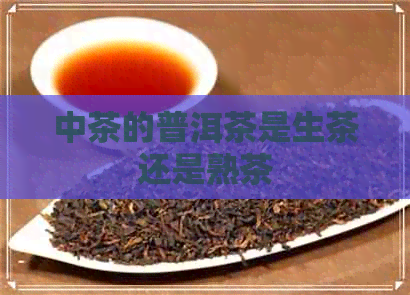 中茶的普洱茶是生茶还是熟茶