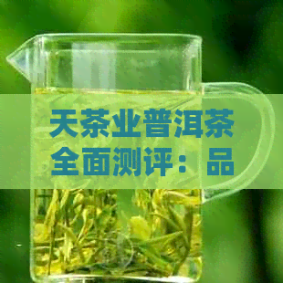 天茶业普洱茶全面测评：品质、口感、陈化及收藏价值一应俱全！