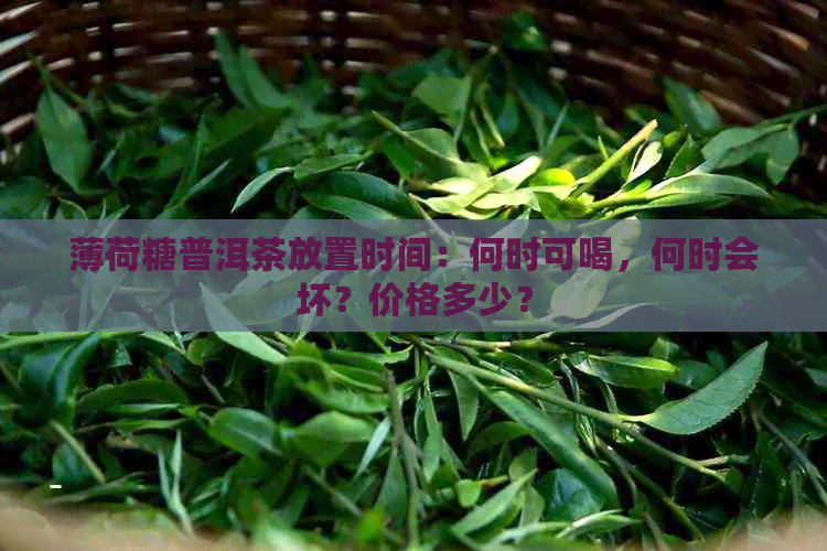 薄荷糖普洱茶放置时间：何时可喝，何时会坏？价格多少？