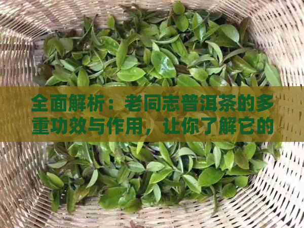 全面解析：老同志普洱茶的多重功效与作用，让你了解它的健益处