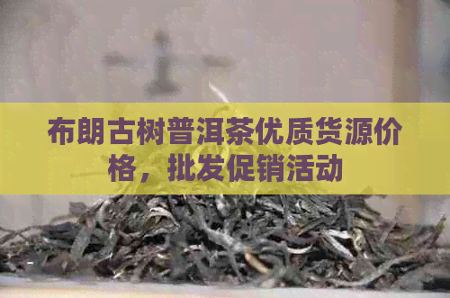 布朗古树普洱茶优质货源价格，批发促销活动