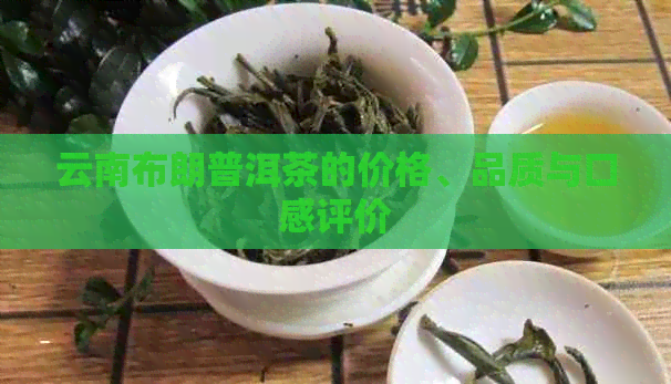 云南布朗普洱茶的价格、品质与口感评价