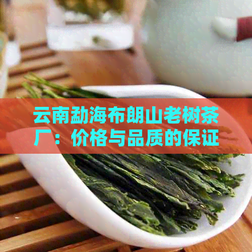 云南勐海布朗山老树茶厂：价格与品质的保证，源自古树的醇香