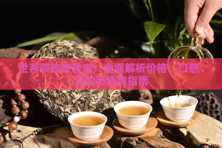 世茗茶陈皮普洱：全面解析价格、口感、功效与选购指南