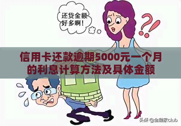 信用卡还款逾期5000元一个月的利息计算方法及具体金额