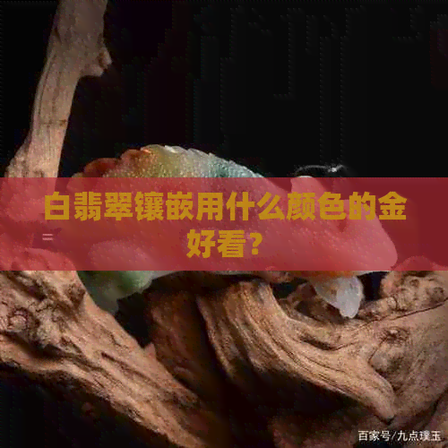 白翡翠镶嵌用什么颜色的金好看？