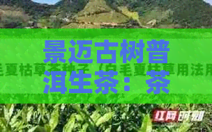 景迈古树普洱生茶：茶香四溢，回味悠长的价格实之选