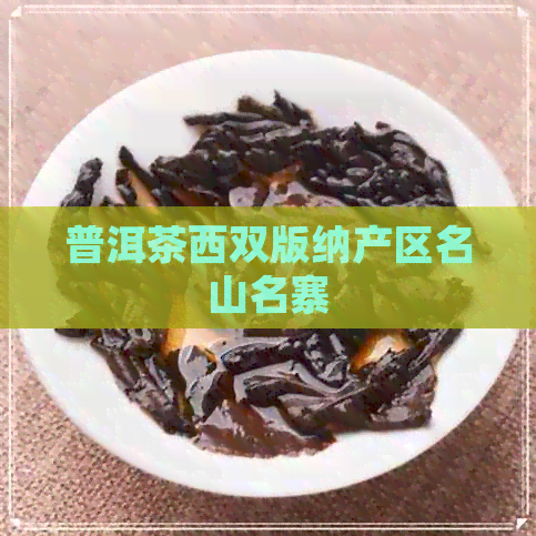 普洱茶西双版纳产区名山名寨