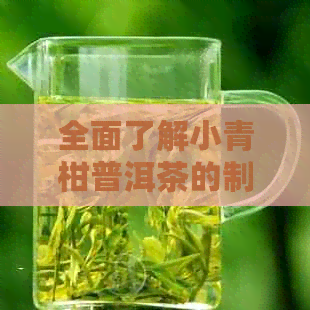 全面了解小青柑普洱茶的制作方法：从选材到冲泡，让你轻松掌握茶艺技巧