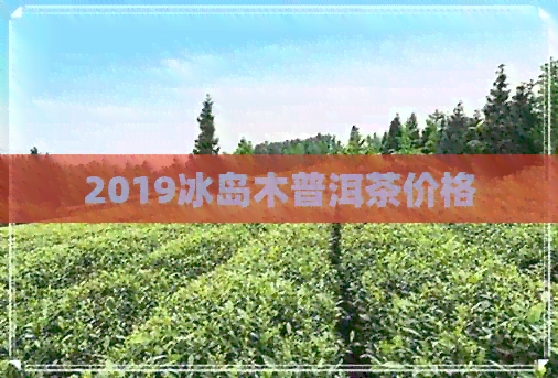 2019冰岛木普洱茶价格