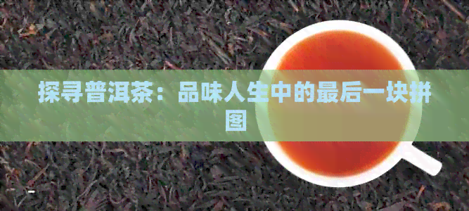 探寻普洱茶：品味人生中的最后一块拼图