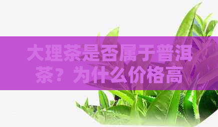 大理茶是否属于普洱茶？为什么价格高昂？