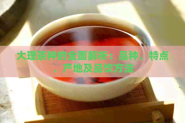 大理茶种的全面解析：品种、特点、产地及品饮方法