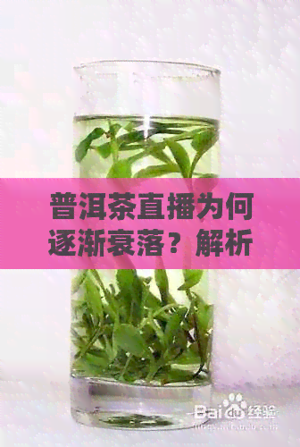 普洱茶直播为何逐渐衰落？解析其背后的多重因素及其对市场的影响