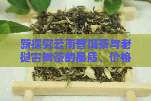 新探究云南普洱茶与老挝古树茶的品质、价格及独特风味之比较