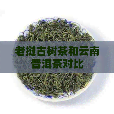 老挝古树茶和云南普洱茶对比