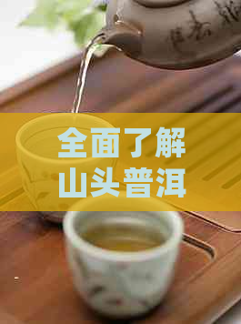 全面了解山头普洱茶价格排名前十：从、等级、口感等方面进行详细分析