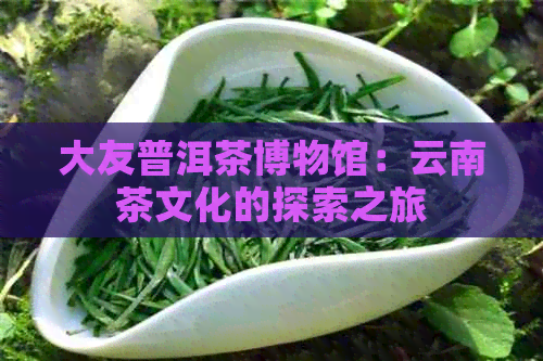 大友普洱茶博物馆：云南茶文化的探索之旅