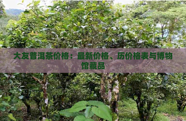 大友普洱茶价格：最新价格、历价格表与博物馆藏品