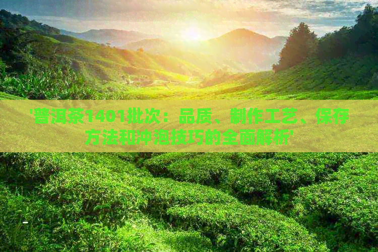 '普洱茶1401批次：品质、制作工艺、保存方法和冲泡技巧的全面解析'