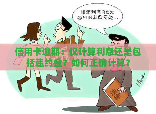 信用卡逾期：仅计算利息还是包括违约金？如何正确计算？