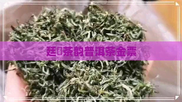 廷蘭茶韵普洱茶金票