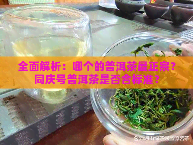 全面解析：哪个的普洱茶最正宗？同庆号普洱茶是否合标准？