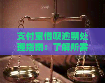 支付宝借呗逾期处理指南：了解所需资料与协商还款方式