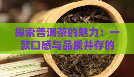 探索普洱茶的魅力：一款口感与品质并存的茶叶全解析