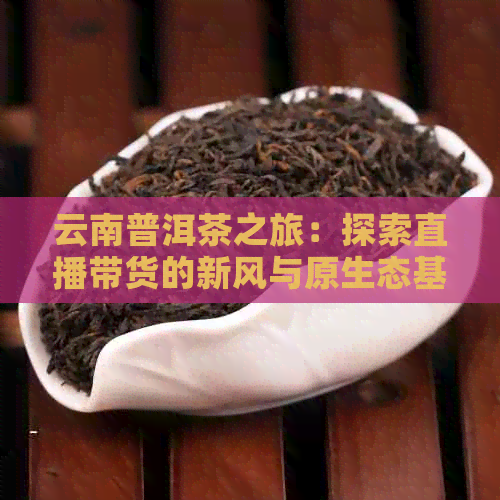 云南普洱茶之旅：探索直播带货的新风与原生态基地