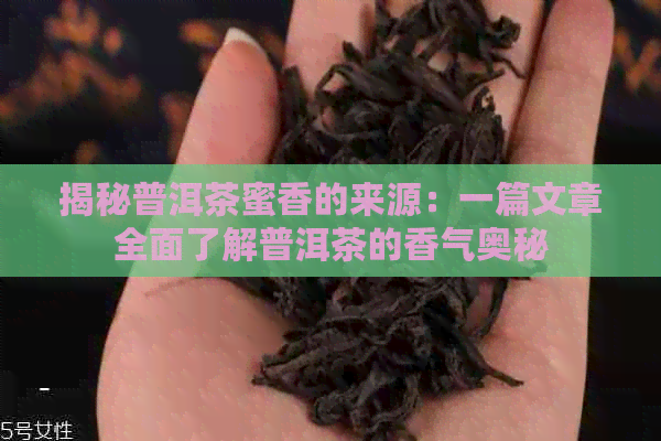 揭秘普洱茶蜜香的来源：一篇文章全面了解普洱茶的香气奥秘