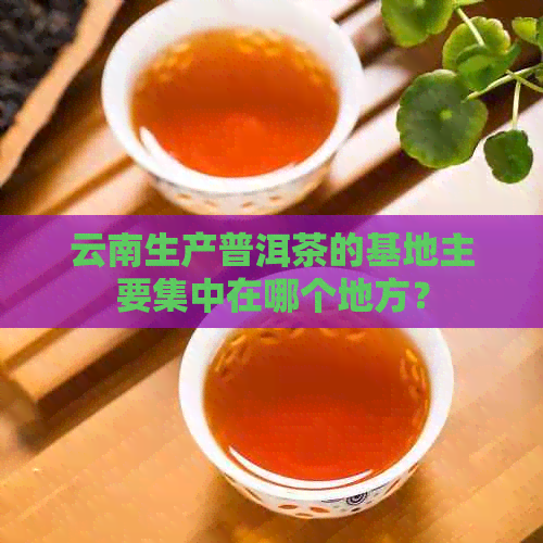 云南生产普洱茶的基地主要集中在哪个地方？