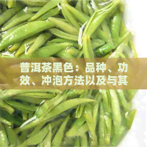 普洱茶黑色：品种、功效、冲泡方法以及与其他茶类的比较解析