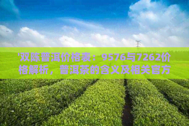 '双陈普洱价格表：9576与7262价格解析，普洱茶的含义及相关官方网店'