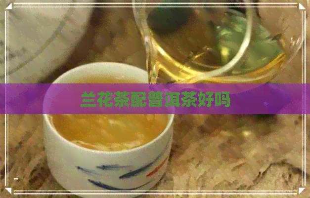 兰花茶配普洱茶好吗