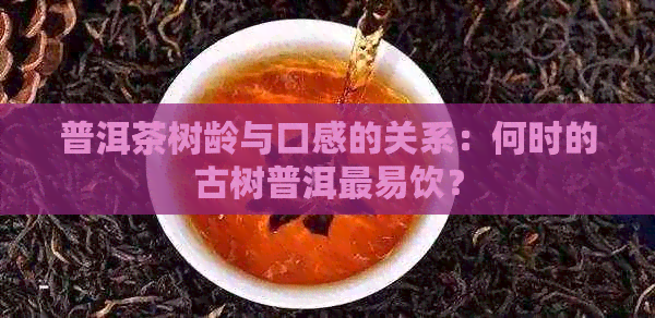 普洱茶树龄与口感的关系：何时的古树普洱最易饮？