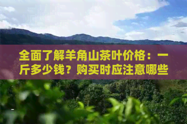 全面了解羊角山茶叶价格：一斤多少钱？购买时应注意哪些因素？