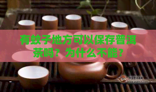 有蚊子地方可以保存普洱茶吗？为什么不能？